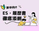 新卒用のES・履歴書添削をします 就職支援一筋10年！女性ならではの細やかな視点を入れて添削 イメージ1