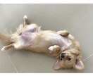 お悩みや愚痴を聞きます 【旧タイプ】誰かに話したいことの受け皿になります イメージ2