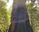 貯金額100万円以下でファイヤーする生き方教えます バツイチ子持ちシングルマザーでもほぼ仕事をせずに生きる方法 イメージ3