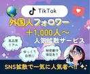 TikTokフォロワー＋1,000人～増加させます 安心・安全　高品質　最短即日で完了！ イメージ1