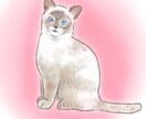 アナログ風の動物イラストを描きます お好きな動物の写真からあたたかみのあるイラストを描きます! イメージ8