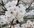 ちょっと､誰かに聞いてほしい。そんな時受け止めます 30分チャットでストレス発散しませんか？？男女OK イメージ1