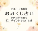 2025年の運勢１テーマをピンポイントで占います 恋愛・仕事・人間関係・全体運から選べるおみくじ鑑定⭐︎ イメージ1