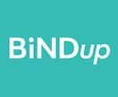 BiNDupを画面共有しながら使い方指導をします 細かい疑問点一つからお答えします。 イメージ1