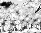 臨時漫画アシスタント致します 商業漫画家｜丁寧なアシスタント作業を承ります イメージ4