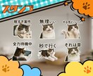 猫のギャグLINEスタンプ作ります 日常ネタ発想で猫スタンプ制作します イメージ2