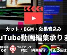 YouTube等の動画編集承ります 【無料相談OK】フルテロップ・無料修正3回まで対応可能です イメージ1