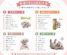 ワンちゃん猫ちゃん鳥さんLINEスタンプ作成します 写真からLINEスタンプ　オープン記念先着５名様５０%割引中 イメージ5