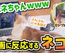 修正5回まで｜一律1500円！サムネイル作ります YouTube動画ならジャンル問わず！見栄え◎サムネ！ イメージ1