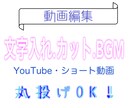全ての編集やります ！！動画編集(カット、BGM、テロップ等) イメージ1