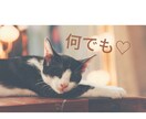 なんでもお聞きします ♡どんなことでも5分でもOK⭐︎誰かと話したいな〜って時に♡ イメージ1