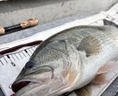 琵琶湖バス釣りSNS運用/動画作成できます バス釣りSNSを強化したい、お客様を楽しませたい！ イメージ1