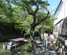 スマホやデジカメで撮影した自然な写真を撮ります スマホやデジカメで撮った風景など イメージ5