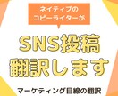 SNS投稿ネイティブが翻訳します 英語コピーライターによる「SNS投稿」→英語コピーに翻訳！ イメージ1