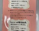 地域猫や多頭飼育崩壊した猫の格安不妊手術相談承ます この出品は購入はされないで、DMからお問い合わせ下さい イメージ6