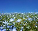 頭の中の絡まった糸を一つ一つゆっくり解いていきます 繊細/頭の中、心がモヤモヤしてる/心にゆとりを作りましょう イメージ6