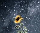 風景撮影代行…広告・趣味等の風景写真承ります Instagram・YouTubeなど幅広い使用用途で提供 イメージ3