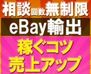 eBay輸出【売上アップ】を1週間コンサルします ▼質問回数「無制限」▼「稼げない」と悩む前にまず相談しよう！ イメージ1