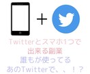 Twitterで稼ぐ副業の仕方教えます フォロワー0でも大丈夫！作業時間10分＋オプションあり イメージ1