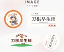 オリジナルラベル・シールデザインします 高級感・可愛い系・シンプル系お任せください イメージ5