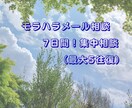 夫婦間モラハラ｜モヤモヤ違和感｜心の整理します モラハラ特化カウンセラーが7日間集中で一緒に整えます イメージ1