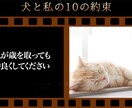 想いを形に、愛するペットのメモリアル動画ます 心に響く、優しい映像をお届け！！！ イメージ2