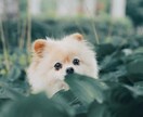 心の中にあるもやもやを一緒に解決します どんなカテゴリでも構いません～話しながら解決しましょう～ イメージ3
