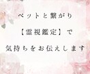 ペットと繋がり【霊視鑑定】で気持ちをお伝えします ペットと繋がり【霊視鑑定】で何を考え想っているのかを伝えます イメージ1