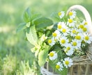 ホッと一息♡心が整う優しい時間☆をお届けします 繊細さんならではの感性で寄り添います＊安心してお話下さい＊ イメージ2