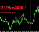 実践的無裁量FX！利食いで終えられるサインが出ます 単純に正確なサインを使いたい方！地道に小資金から増やす！ イメージ5