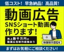 初回限定価格！ショートの動画広告を制作します 動画広告歴6年の動画クリエイターが高品質な動画広告を制作！！ イメージ1