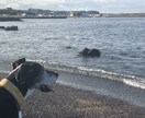 心の掃除します 私に話してストレス発散してみませんか？たまには心の掃除を・・ イメージ2