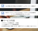 Web広告のコンサル＆質問無制限受け付けます FB/インスタ/LINE/Twitter/Googleなど イメージ2