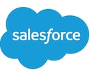 Salesforceのご相談に対応します セールスフォース5年超(導入/開発責任者&運用責任者） イメージ1