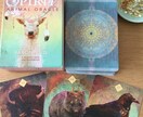 オラクルカード占い❁あなた専用メッセージを伝えます 美しい動物たちがあなたの道標であり、癒しとなります。 イメージ1