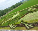 北海道の旭川に遊びに来る人に美味しいとこ教えます 旭山動物園に行く人、旭川を旅行で通る人向け イメージ1