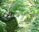 受験・就活・資格試験・合格の可能性と未来を占います 【学業運】中高大受験｜就活｜資格試験｜本番結果までの運勢表付 イメージ3