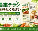 売れる農業チラシ作ります 見た目だけで終わらない農産物の価値が伝わるチラシを作ります イメージ1