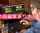 エンタメ系YouTube動画の編集承ります エンタメ系動画編集のカット、テロップ、SE、BGMやります。 イメージ1