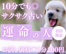 お試し♡10分でサクッと、彼が運命の人か占います 【8月末まで♡初回限定】1分200円→100円｜短時間OK♡ イメージ1