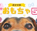 ブログ・サイトのアイキャッチ作成します 思わず読みたくなる！記事の魅力が伝わるデザインをご提案！ イメージ5