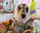 イメージキャラクターを考えます 御当地キャラ･その他を考えます。 イメージ1