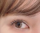 現役アイリスト✨マツエク、眉毛など質問受付ます 経験8年目現役アイリストが答えます！マツエク、まつ育など イメージ1