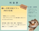 安心して気軽に話せる精神科看護師が、ここにいます ご家族やご友人も！専門は依存症治療◎他も幅広く相談可能です イメージ11