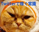 ながら作業　Twitterマネタイズ伝授します 商品の内容が不安な方へ1000円でお試し販売中 7月末まで イメージ1