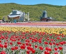 ７月迄お試し価格★北海道観光★１週間チャットします 広すぎる北海道をどうまわる？ドライブ狂いの北海道民が承ります イメージ10