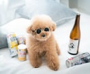 ちょこっと質問。電話相談のギモン、お聞きします 愚痴・お悩み・初心者さん向けのレクチャー、なんでもどうぞ。 イメージ7