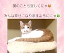 霊能者が何でも霊視します 一つ一つ丁寧に奥底まで霊視いたします♡ イメージ4