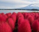 プロカメラマンが個性豊かな写真をお撮りします どんなシーンにもご対応します、ぜひご相談ください！ イメージ3