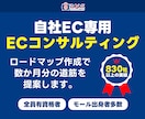 自社ECのECコンサルタント｜売上改善を行います 売上アップ/集客/CVR改善策などをロードマップでご提案 イメージ1